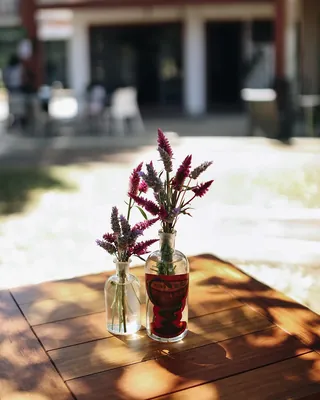 Mesa de madeira no jardim com flores em dois frascos antigos de farmácia, sob a sombra das folhas, com o prédio ao fundo